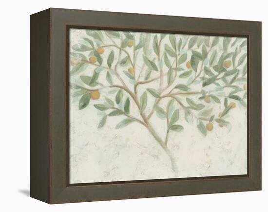 Citrus Tree Fresco II-June Vess-Framed Stretched Canvas