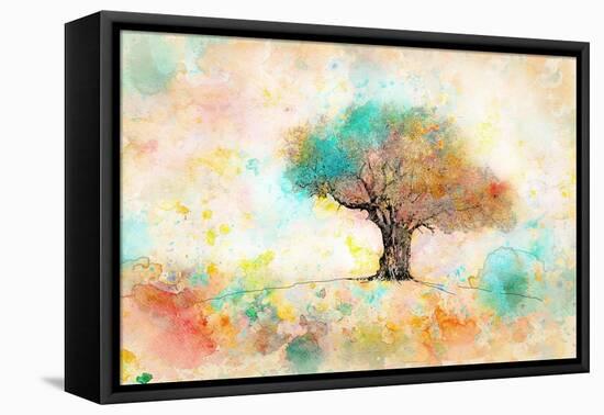 Citrus Tree-Ynon Mabat-Framed Stretched Canvas