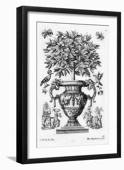 Citrus Trees, C.1735 (Engraving)-Martin Engelbrecht-Framed Giclee Print