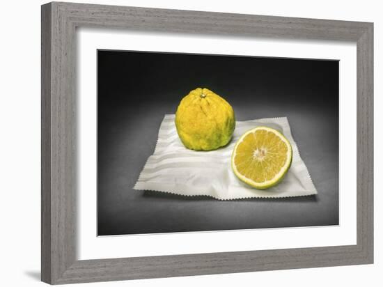 Citrus-Christophe Verot-Framed Giclee Print