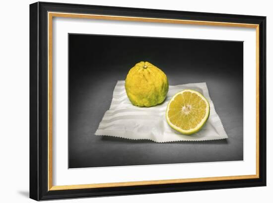 Citrus-Christophe Verot-Framed Giclee Print