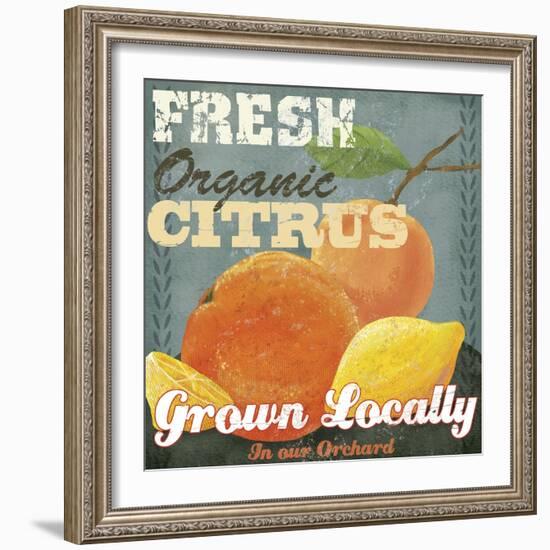 Citrus-Fiona Stokes-Gilbert-Framed Giclee Print