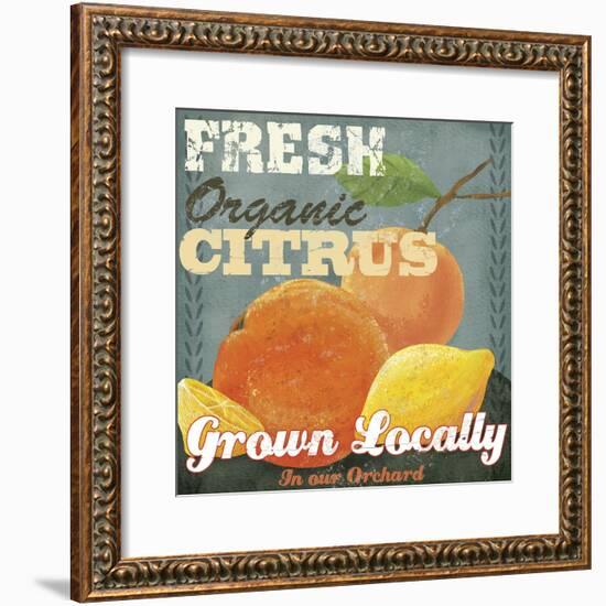 Citrus-Fiona Stokes-Gilbert-Framed Giclee Print