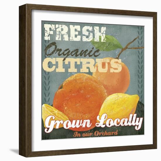 Citrus-Fiona Stokes-Gilbert-Framed Giclee Print