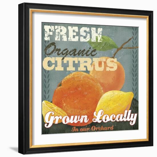 Citrus-Fiona Stokes-Gilbert-Framed Giclee Print