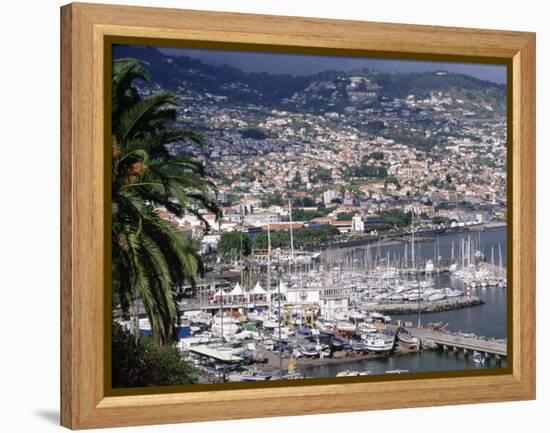 City and Marina, Funchal, Madeira, Portugal-Walter Bibikow-Framed Premier Image Canvas