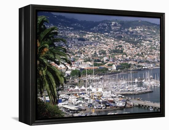 City and Marina, Funchal, Madeira, Portugal-Walter Bibikow-Framed Premier Image Canvas