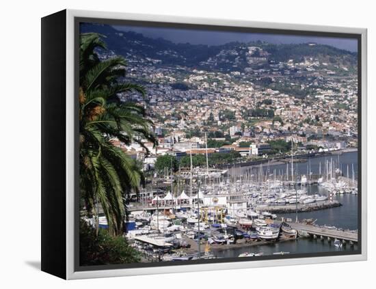 City and Marina, Funchal, Madeira, Portugal-Walter Bibikow-Framed Premier Image Canvas