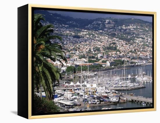 City and Marina, Funchal, Madeira, Portugal-Walter Bibikow-Framed Premier Image Canvas