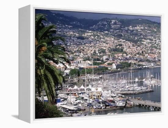City and Marina, Funchal, Madeira, Portugal-Walter Bibikow-Framed Premier Image Canvas