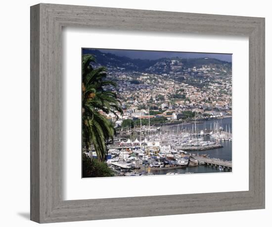 City and Marina, Funchal, Madeira, Portugal-Walter Bibikow-Framed Photographic Print