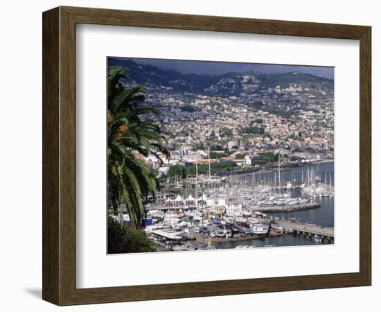 City and Marina, Funchal, Madeira, Portugal-Walter Bibikow-Framed Photographic Print