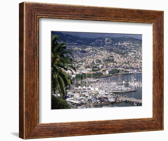 City and Marina, Funchal, Madeira, Portugal-Walter Bibikow-Framed Photographic Print