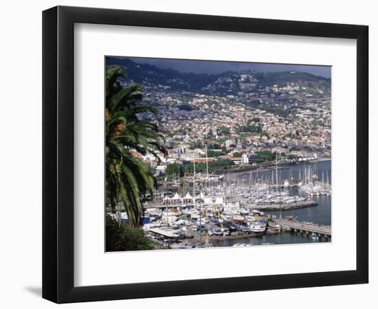 City and Marina, Funchal, Madeira, Portugal-Walter Bibikow-Framed Photographic Print
