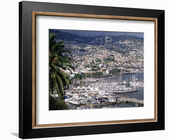 City and Marina, Funchal, Madeira, Portugal-Walter Bibikow-Framed Photographic Print