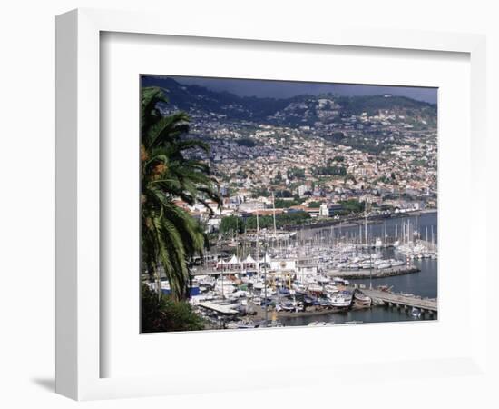 City and Marina, Funchal, Madeira, Portugal-Walter Bibikow-Framed Photographic Print