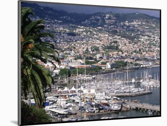 City and Marina, Funchal, Madeira, Portugal-Walter Bibikow-Mounted Photographic Print