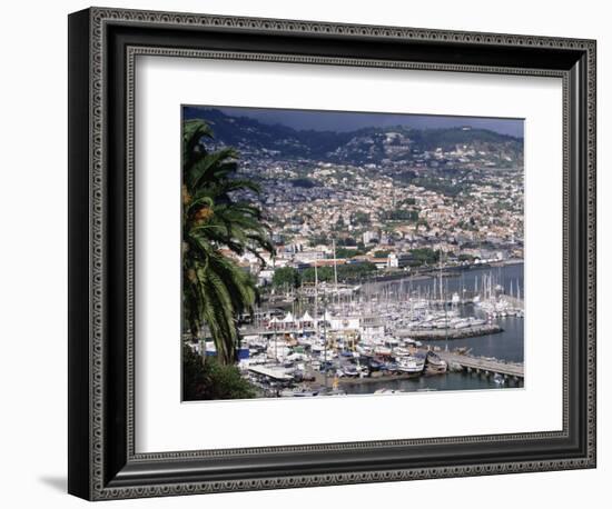 City and Marina, Funchal, Madeira, Portugal-Walter Bibikow-Framed Photographic Print