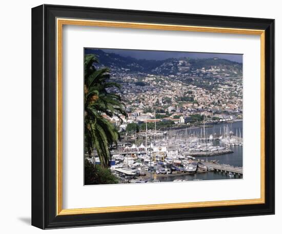 City and Marina, Funchal, Madeira, Portugal-Walter Bibikow-Framed Photographic Print