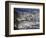 City and Marina, Funchal, Madeira, Portugal-Walter Bibikow-Framed Photographic Print