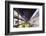 City Center, Taipei, Taiwan, Asia-Christian Kober-Framed Photographic Print