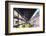 City Center, Taipei, Taiwan, Asia-Christian Kober-Framed Photographic Print