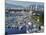 City Centre Seen Across Marina in Granville Basin, Vancouver, British Columbia, Canada-Anthony Waltham-Mounted Photographic Print