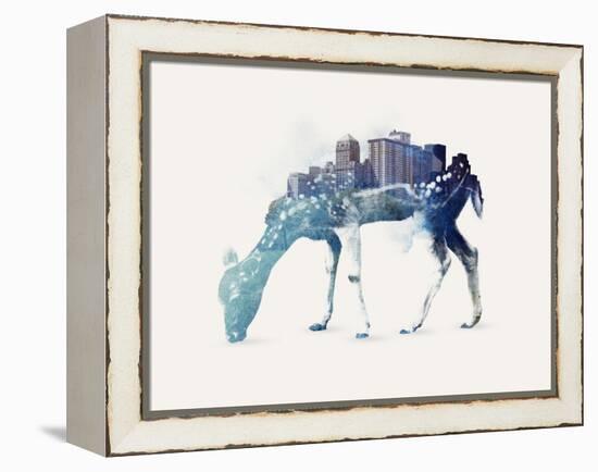 City Deer-Robert Farkas-Framed Premier Image Canvas