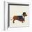 City Dog I-Kate Mawdsley-Framed Giclee Print