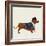 City Dog I-Kate Mawdsley-Framed Giclee Print