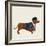 City Dog I-Kate Mawdsley-Framed Giclee Print