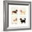 City Dogs and Country Dogs-Kate Mawdsley-Framed Art Print