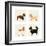 City Dogs and Country Dogs-Kate Mawdsley-Framed Art Print