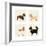 City Dogs and Country Dogs-Kate Mawdsley-Framed Art Print