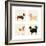 City Dogs and Country Dogs-Kate Mawdsley-Framed Art Print