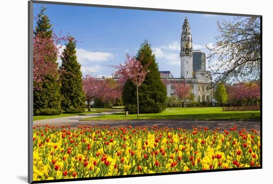 City Hall, Alexandra Gardens, Cathays Park, Cardiff, Wales, United Kingdom, Europe-Billy Stock-Mounted Photographic Print