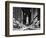 City Hall and Avenue of the Arts by Night, Philadelphia, Pennsylvania, US-Philippe Hugonnard-Framed Photographic Print