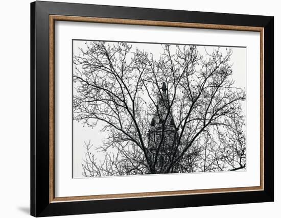 City Hall (branches)-Erin Clark-Framed Art Print