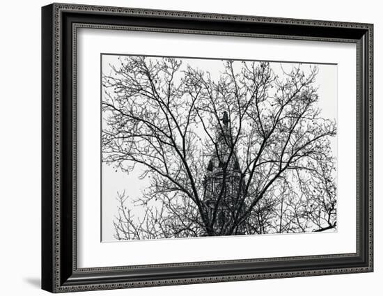 City Hall (branches)-Erin Clark-Framed Art Print