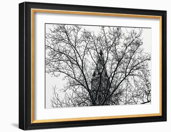 City Hall (branches)-Erin Clark-Framed Art Print