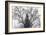 City Hall (branches)-Erin Clark-Framed Art Print