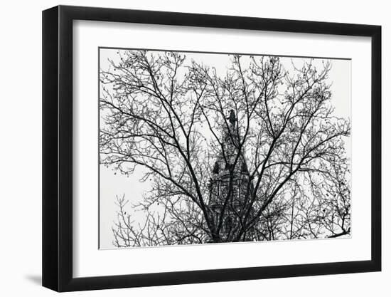 City Hall (branches)-Erin Clark-Framed Art Print