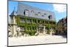 City Hall, Quedlinburg, UNESCO World Heritage Site, Harz, Saxony-Anhalt, Germany, Europe-G & M Therin-Weise-Mounted Photographic Print