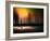 City Life-Josh Adamski-Framed Photographic Print