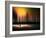 City Life-Josh Adamski-Framed Photographic Print