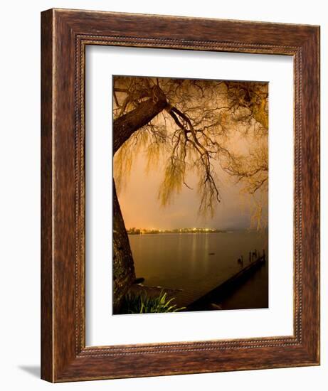 City Lights across Lake Rotorua, Rotorua, Bay of Plenty, North Island, New Zealand-David Wall-Framed Photographic Print