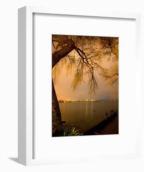 City Lights across Lake Rotorua, Rotorua, Bay of Plenty, North Island, New Zealand-David Wall-Framed Photographic Print