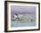 City of Arts and Sciences, Valencia, Costa Del Azahar, Spain-Martin Child-Framed Photographic Print