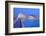 City of Arts and Sciences, Valencia, Spain-Marco Simoni-Framed Photographic Print