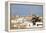 City of Casablanca, Morocco-p.lange-Framed Premier Image Canvas